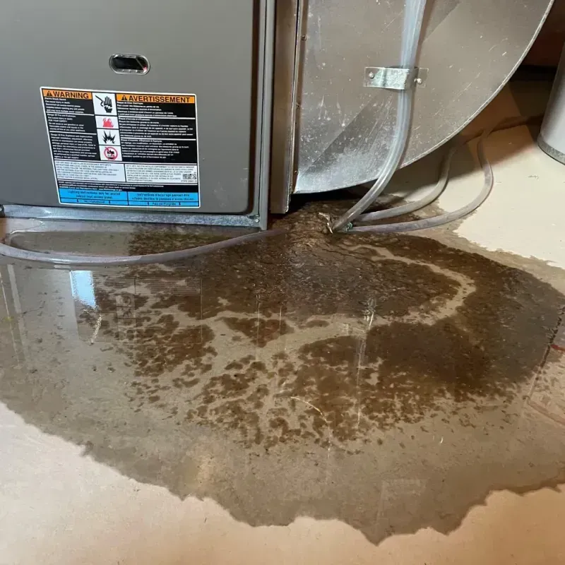 Appliance Leak Cleanup in Braidwood, IL